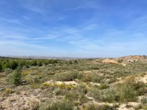 🌞 ¡OPORTUNIDAD INVERSORES EN ENERÍA SOLAR