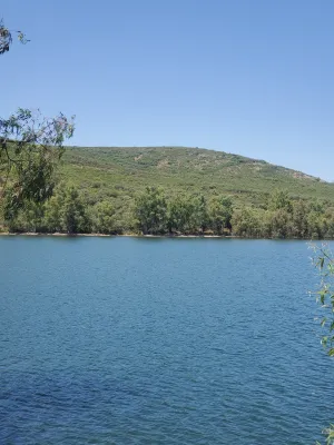 Finca de 100 Ha de Monte