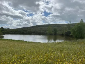 Magnifica Finca