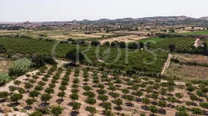 Finca de regadío en la provincia de Teruel