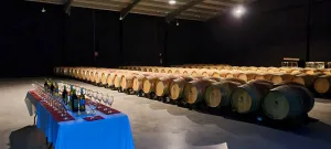 Bodega Vivanza