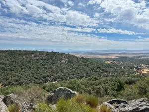 Finca 303 Has en Ciudad Rodrigo-Fotovoltaico