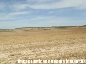 finca en venta 220 has. labor-secano-riego