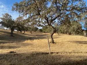 finca ganadera en el término de la nava,