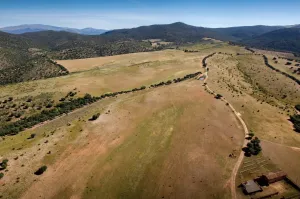 EXCLUSIVA FINCA CINEGÉTICA DE CAZA MYOR