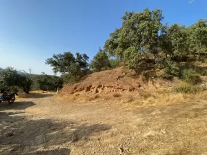 FINCA EN LA NAVA