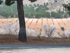 VENTA FINCA SECANO PRODUCCION ECOLÓGICA