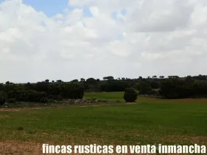 finca en venta 186 has. labor caza menor