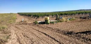 Finca rústica de viñedo en Nava del rey