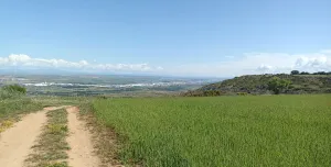 Fincas rústicas en Anchuelo