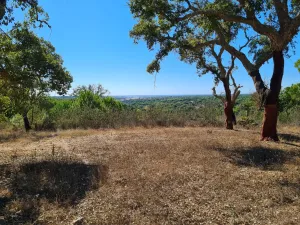 Finca en Melides Grândola , Setúbal Portugal
