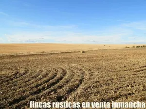 finca en venta 350 has. labor secano olivar