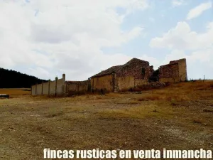 finca en venta 464 has. labor monte Albacete