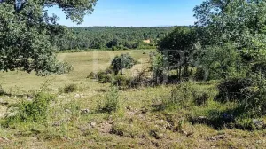 Dehesa para construir en Sierra de Gredos