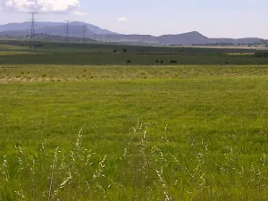FINCA EN JUILLA