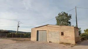 FINCA DE REGADÍO DE POMELOS EN FTE. LIBRILLA