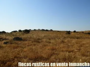 finca venta 326 has labor ganadera en Almagro