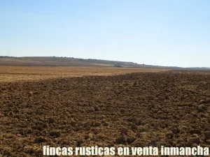 finca en venta 184 has. labor riego Belmonte