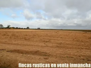 finca en venta 22 has. Pistacho-Labor riego