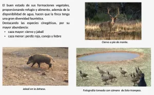 Magnifica finca de 275 ha