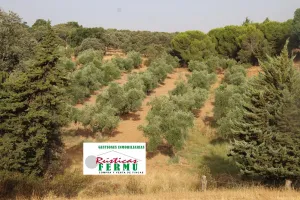 Finca mixta en el  VALLE DE LOS PEDROCHES.