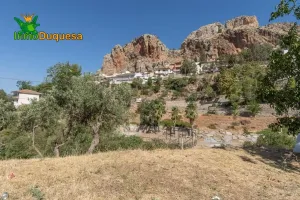 Terreno RÚSTICO con cortijo en Cogollos Vega