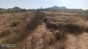 PARCELAS rústicas en Agost.