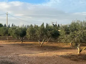 Finca rustica zona Amposta