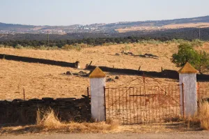 Finca Ganadera De 800ha Cerca De Cáceres