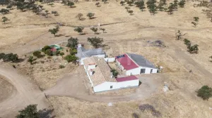 Finca ganadera en Los Baldíos (Badajoz)