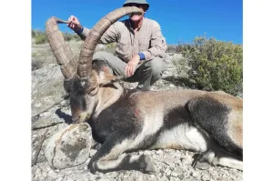 Finca Ganadera Con Alojamiento Turistico