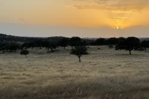 Finca Con Buen Acceso En Venta.