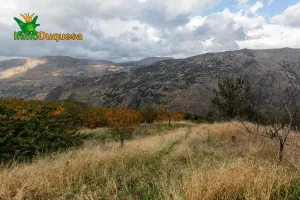 Terreno rústico en Güejar Sierra