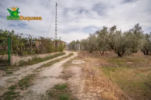 Terreno rústico en Las Gabias. Junto al campo de golf