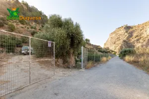 Finca rústica en  término de VELEZ DE BENAUDALLA.