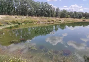 GRAN FINCA RÚSTICA CON POTENCIAL HÍDRICO