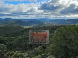 Hermosa Finca de Caza mayor y Recreo