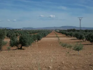 Hermosa finca de 400 hectáreas
