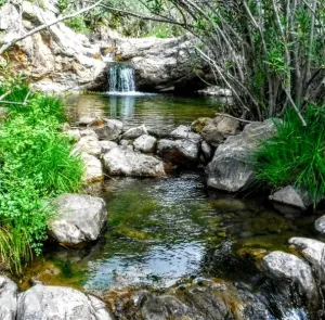 Finca Cinegética, Ganadera y de Recreo de Luj