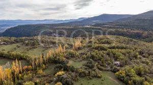 Finca con casa para rehabilitar en el Pirineo