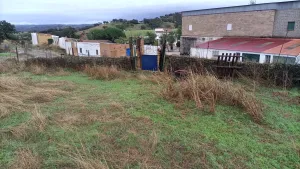 Finca rustica junto al pueblo