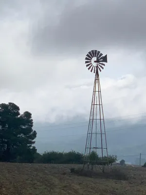 Finca rústica con producción ecológica y coto
