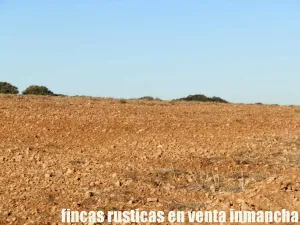 finca en venta 106 has. labor monte en Toledo