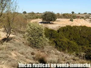 finca en venta 30 has. recreo en Madrid