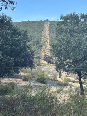 FINCA CINEGÉTICA VENTA ZONA DE LOS IBORES
