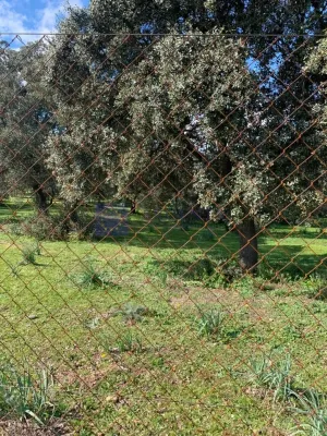 FINCA GANADERA Y CINEGÉTICA EN ZONA MÉRIDA