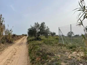 Finca Fontanilla La Palma del Condado