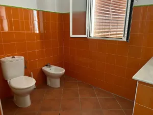 Finca en La Palma del Condado