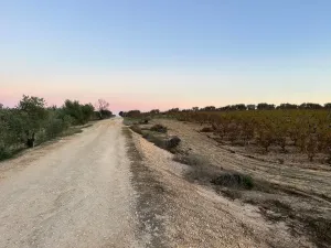 Finca con pozo Bollullos Par del Condado
