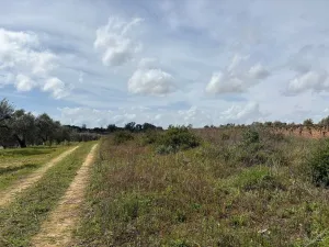 Finca en Huelva, Bollullos Par del Condado
